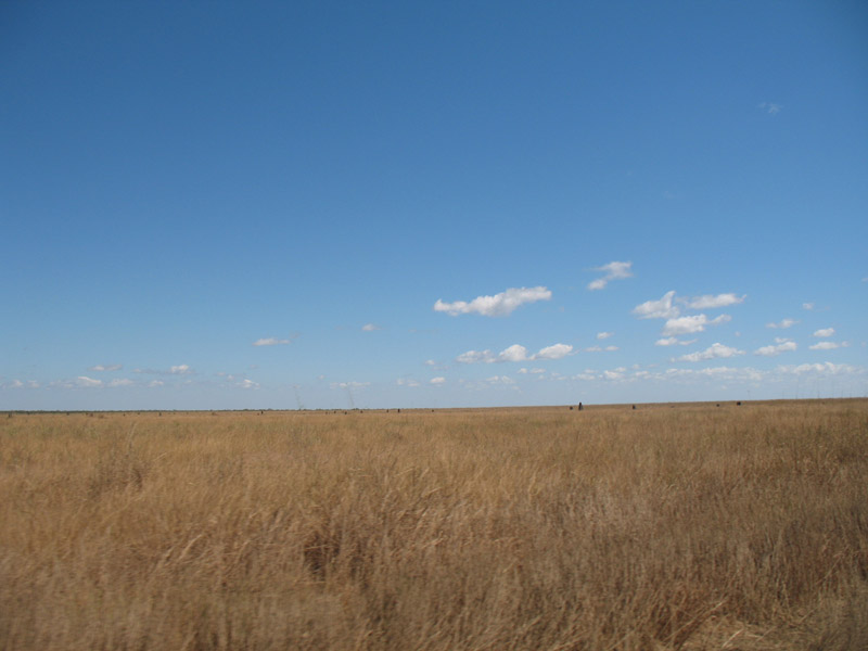 Lakefield National Park - Walkabout